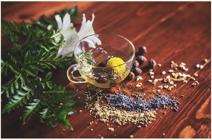 Herbs