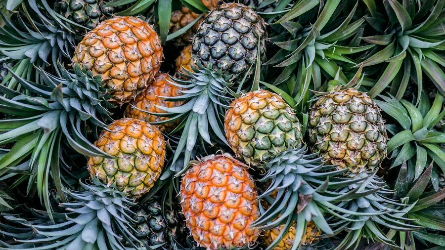 Ananas